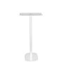 Produit Pied enceinte Marshall Stanmore vue supplémentaire